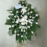 toma la imagen adjunta como base y genera 0dz7m3j