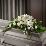 toma la imagen adjunta como base y genera ifbs7rvu