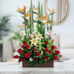 toma la imagen adjunta como base y genera qje1q536