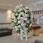 toma la imagen adjunta como base y genera yvttgf