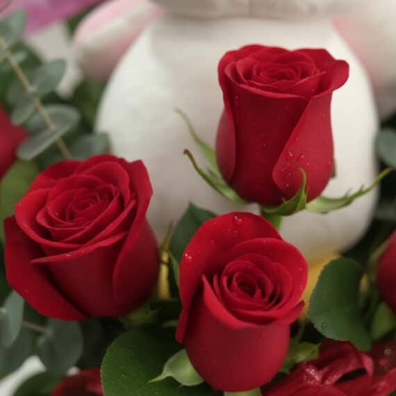 Primer plano extremo de tres rosas rojas vibrantes con gotas de rocío, parte del Arreglo ALICE con Orquídea Majestuosa y Pelu