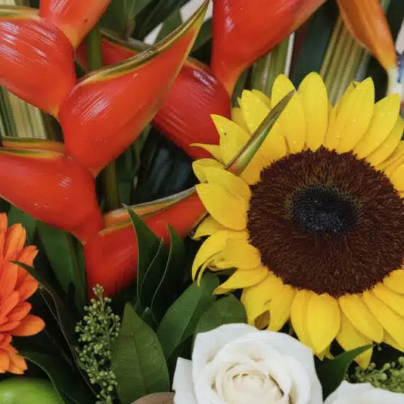 Primer plano extremo de un arreglo floral con girasol, heliconias rojas, rosa blanca y gotas de rocío, resaltando texturas y