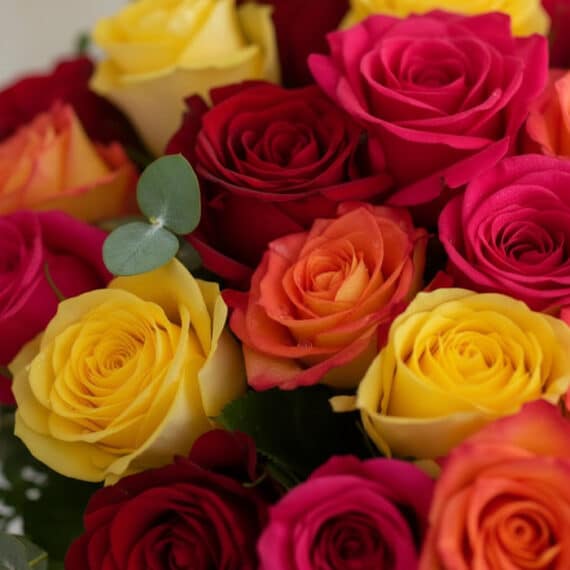 Primer plano extremo de un arreglo floral MARIELLA con 36 rosas frescas multicolor (rojas, amarillas, naranjas, fucsias) y su