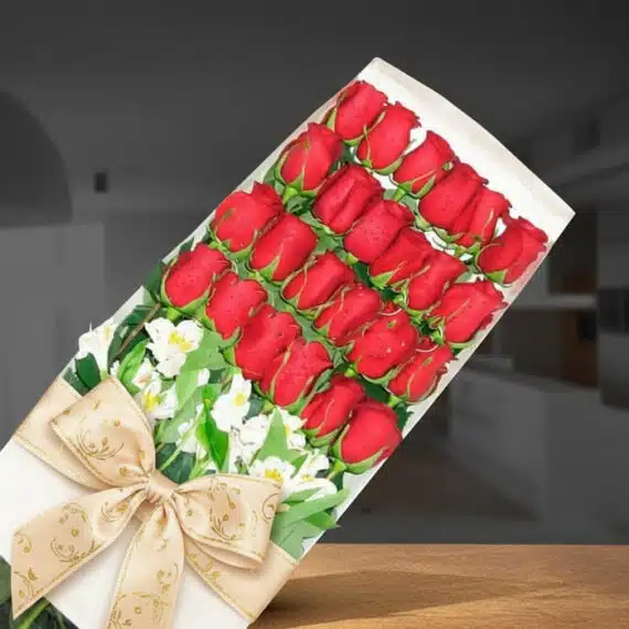 Caja de 24 Rosas Rojas Frescas: Regalo Perfecto y Elegante Caja de 24 rosas rojas frescas con gotas de rocío, lazo dorado y flores blancas de acompañamiento, sobre un fondo elegante de