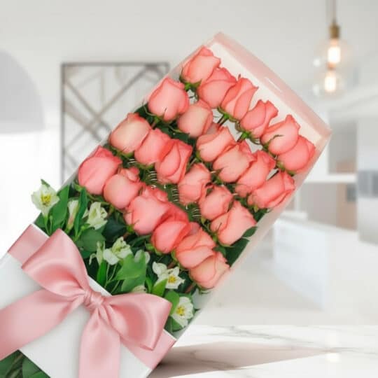 Caja de 24 rosas rosadas frescas con moño de seda rosa, dispuestas elegantemente en un fondo luminoso y moderno, ideal para e