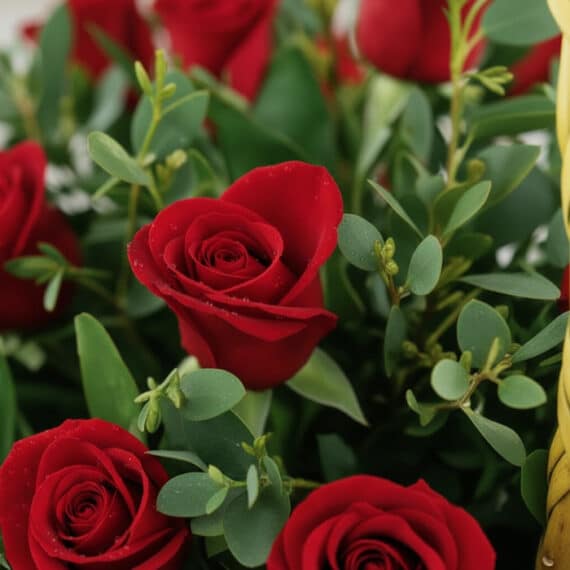 Primer plano extremo de una canasta floral con 24 rosas rojas frescas, mostrando texturas hiperrealistas y sutiles gotas de r
