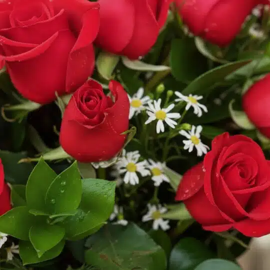 Primer plano extremo de un jarrón con 18 rosas rojas, mostrando texturas hiperrealistas, sutiles gotas de rocío y hojas verde