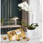 Arreglo MARELY con orquídea Phalaenopsis blanca en maceta texturizada y caja de chocolates Ferrero Rocher, ideal para regalar