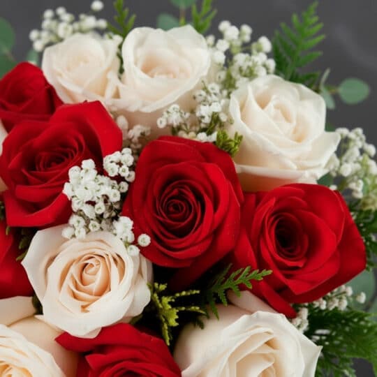 Primer plano extremo de un ramillete de rosas rojas y blancas con gotas de rocío, follaje verde y flores de aliento de bebé,