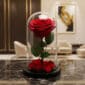 Rosa preservada roja en cúpula de cristal sobre una mesa de mármol negro, con un fondo elegante de lobby de hotel boutique.