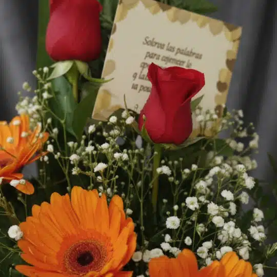 Primer plano extremo de un arreglo floral Solitario Tu Recuerdo con rosas rojas, gerberas naranjas y paniculata, mostrando te